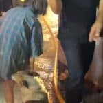 Elderly woman escapes house fire in Samut Sakhon with nine dogs | Thaiger