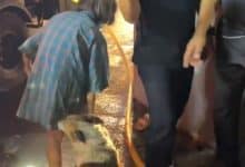 Elderly woman escapes house fire in Samut Sakhon with nine dogs | Thaiger