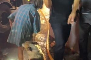 Elderly woman escapes house fire in Samut Sakhon with nine dogs | Thaiger