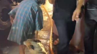 Elderly woman escapes house fire in Samut Sakhon with nine dogs | Thaiger