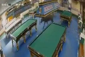 Buffalo bolts from slaughterhouse into Chiang Mai snooker shop | Thaiger