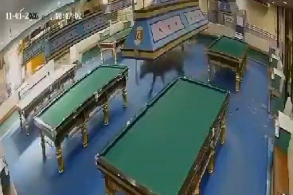 Buffalo bolts from slaughterhouse into Chiang Mai snooker shop | Thaiger