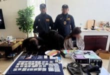 Israeli nationals arrested in Koh Pha Ngan drug bust | Thaiger
