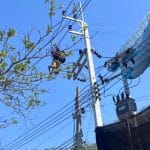 American paraglider crash into power pole on Koh Lan | Thaiger