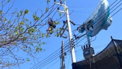 American paraglider crash into power pole on Koh Lan | Thaiger