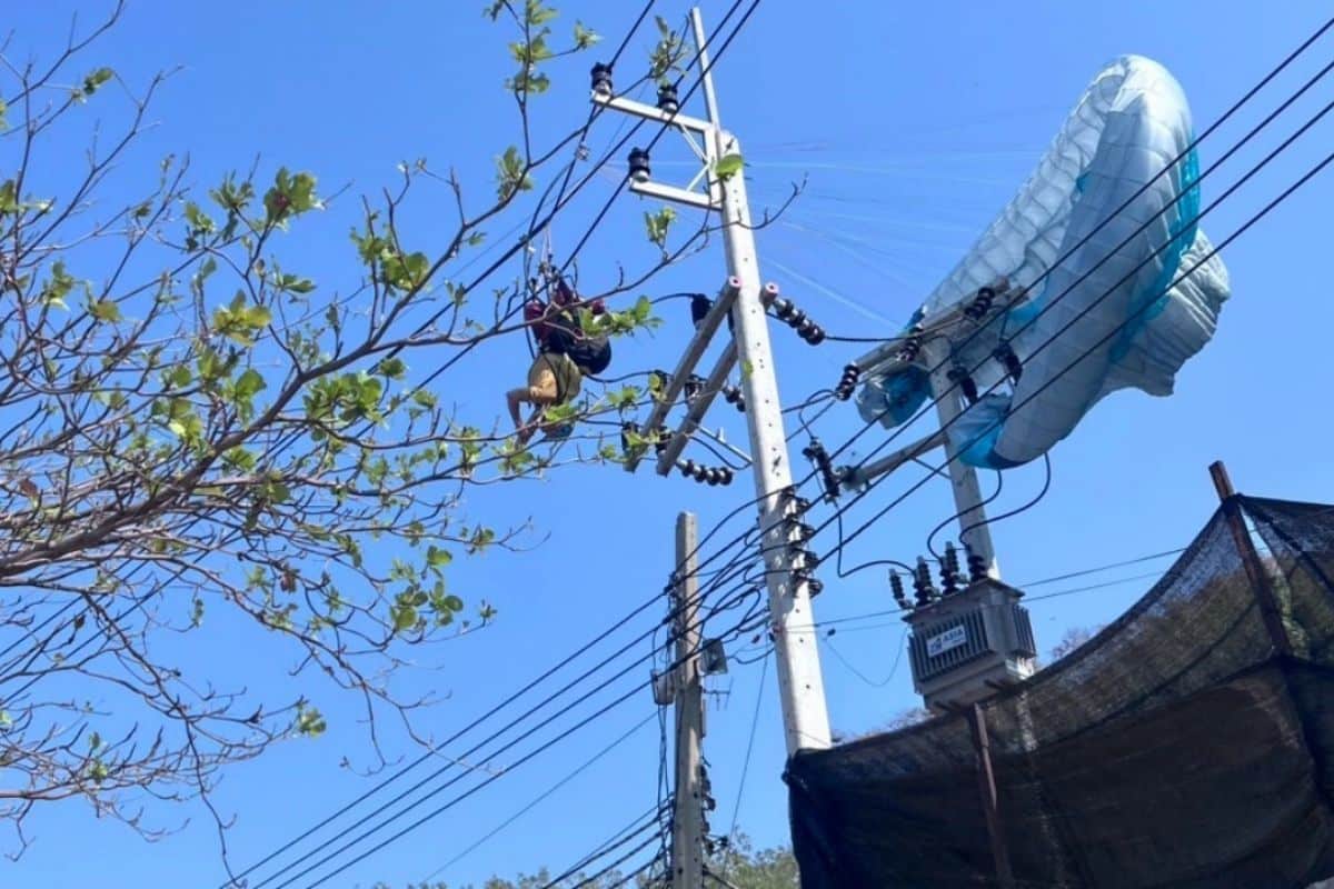 American paraglider crash into power pole on Koh Lan | Thaiger