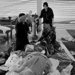 Baby elephant Khao Tom’s journey ends in Suphan Buri | Thaiger