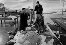 Baby elephant Khao Tom’s journey ends in Suphan Buri | Thaiger