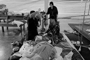 Baby elephant Khao Tom’s journey ends in Suphan Buri | Thaiger