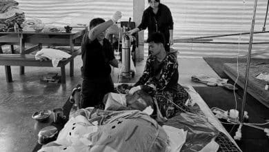 Baby elephant Khao Tom’s journey ends in Suphan Buri | Thaiger