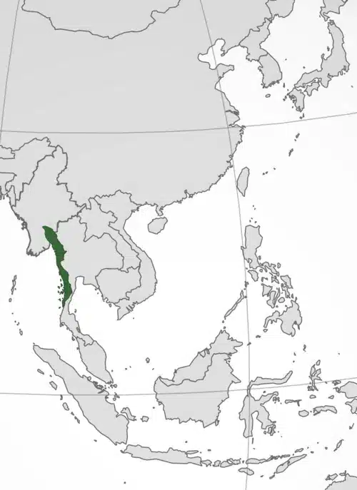 A map illustrating the Kawthoolei Republic.