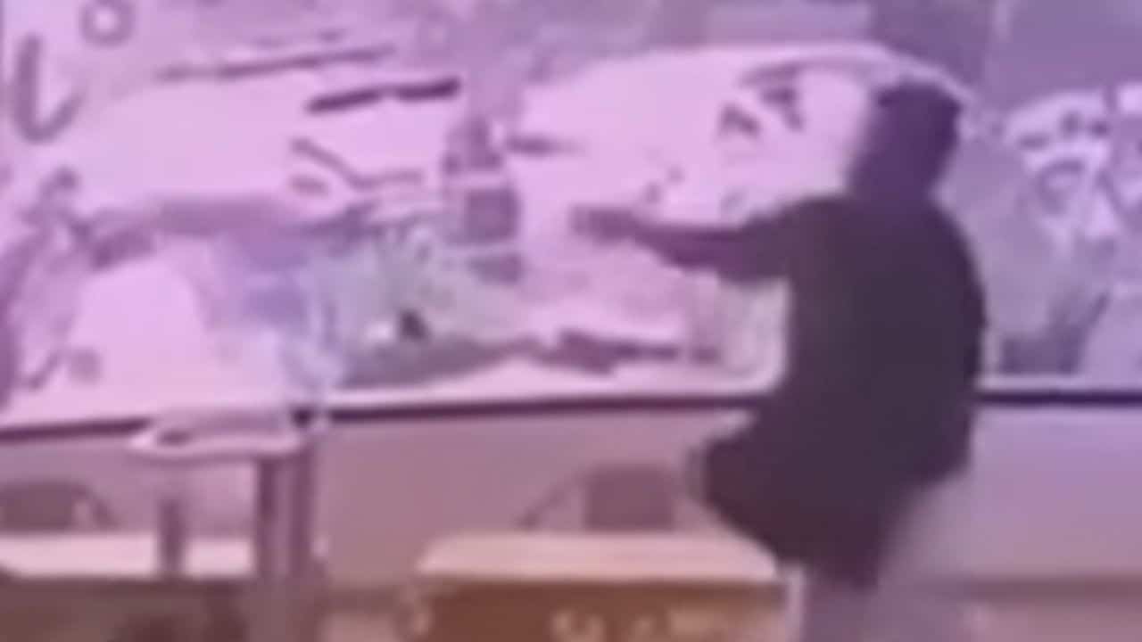 cafe owner abuse cats