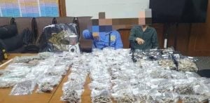 Russian drug dealers arrested during ‘mushroom temple’ raid in Phuket | Thaiger