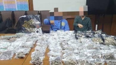 Russian drug dealers arrested during ‘mushroom temple’ raid in Phuket | Thaiger