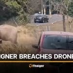 Foreign man slammed for flying drone, scaring Khao Yai elephants | Thaiger