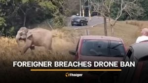 Foreign man slammed for flying drone, scaring Khao Yai elephants | Thaiger