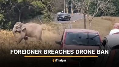 Foreign man slammed for flying drone, scaring Khao Yai elephants | Thaiger
