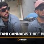 Pakistani man caught and beaten for stealing cannabis in Phuket | Thaiger