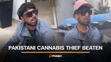 Pakistani man caught and beaten for stealing cannabis in Phuket | Thaiger