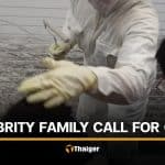 Thai netizens react after Japanese living statue hits actress’s son on head | Thaiger