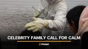 Thai netizens react after Japanese living statue hits actress’s son on head | Thaiger