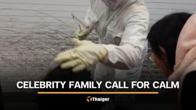 Thai netizens react after Japanese living statue hits actress’s son on head | Thaiger