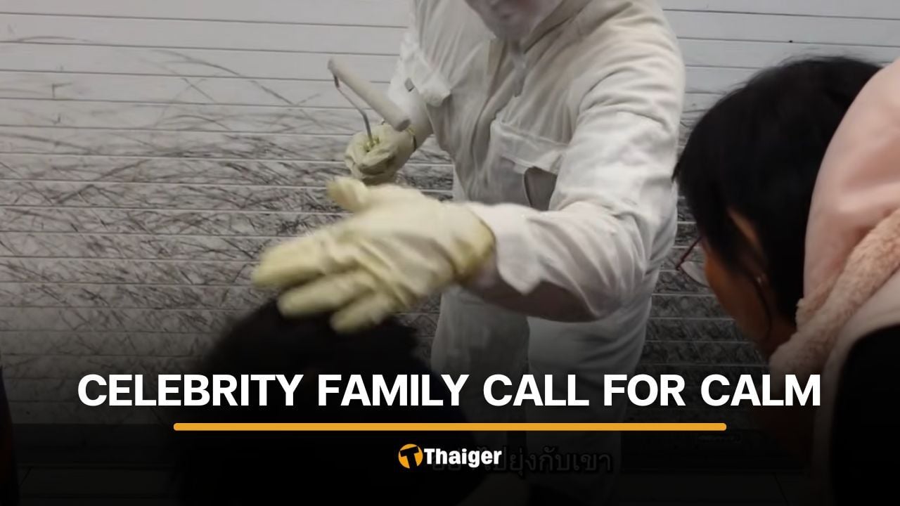 Thai netizens react after Japanese living statue hits actress’s son on head | Thaiger