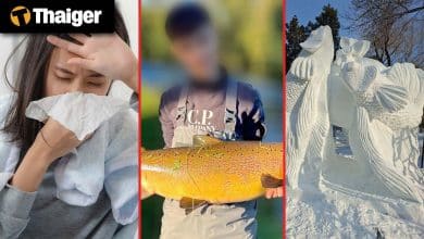 Thailand video news | Mutated flu strain fuels spike in Thailand cases, Thai students win top prize at international snow sculpture event | Thaiger