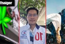 Thailand video news | Thailand closes thousands of cannabis shops, Tomorrowland announces expansion with Thailand festival details | Thaiger