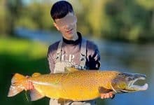 British teen held in Qatar for alleged cannabis trafficking from Thailand | Thaiger