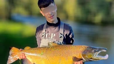 British teen held in Qatar for alleged cannabis trafficking from Thailand | Thaiger