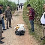 Suspects flee sugarcane field near border, abandon 600,000 pills | Thaiger