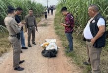 Suspects flee sugarcane field near border, abandon 600,000 pills | Thaiger