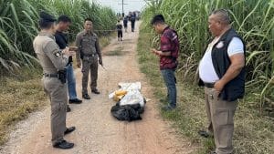 Suspects flee sugarcane field near border, abandon 600,000 pills | Thaiger