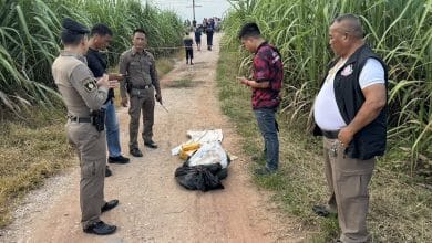 Suspects flee sugarcane field near border, abandon 600,000 pills | Thaiger