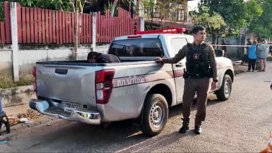 Man claims spirit possession in fatal stabbing of grandmother | Thaiger