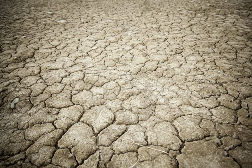 Weather Alert: Expert Predicts Return of El Niño by July, Warns of Low Rainfall