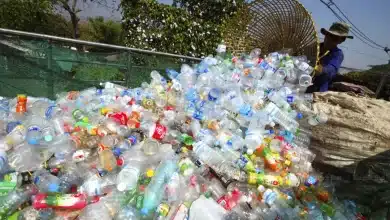 Overloaded landfill prompts urgent waste crisis review in Phatthalung | Thaiger