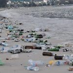 Sea of Trash: Garbage covers Patong beach after New Year countdown | Thaiger