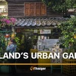 Thailand’s love for urban gardening | Thaiger