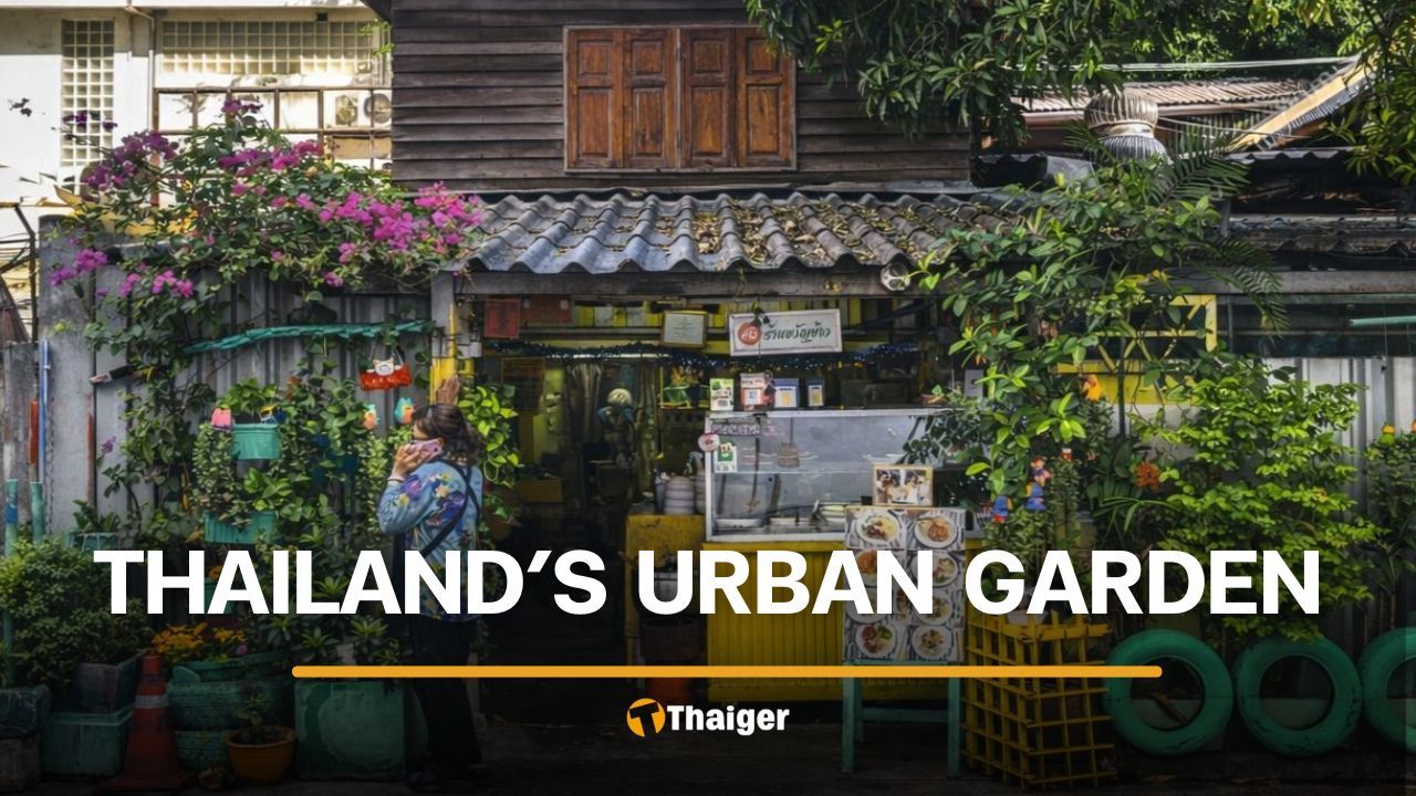 Thailand’s love for urban gardening | Thaiger