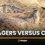 Crocodile mistaken for log shocks locals in Nakhon Pathom canal | Thaiger