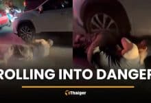 Foreign man seen rolling on Phuket street near EDC event | Thaiger
