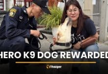 Hero K9 dog rewarded after quick Hua Hin murder arrest | Thaiger