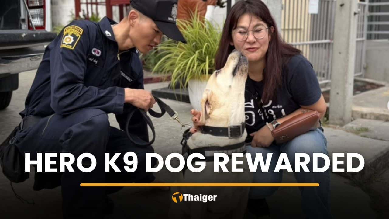 Hero K9 dog rewarded after quick Hua Hin murder arrest | Thaiger