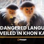 Khon Kaen Zoo unveils endangered red-shanked douc langur | Thaiger