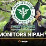 Thailand monitors Nipah virus threat following Indian outbreak | Thaiger