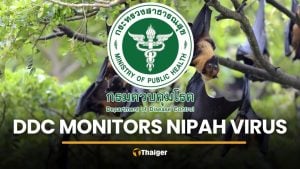 Thailand monitors Nipah virus threat following Indian outbreak | Thaiger