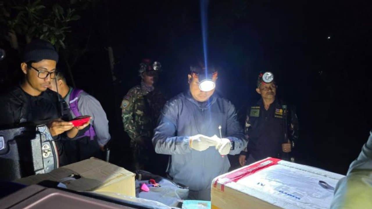 Wildlife officials vaccinate a female wild elephant with contraceptive in a forest in Trat, Thailand
