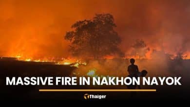 Nakhon Nayok fire spreads near homes, arson suspected | Thaiger
